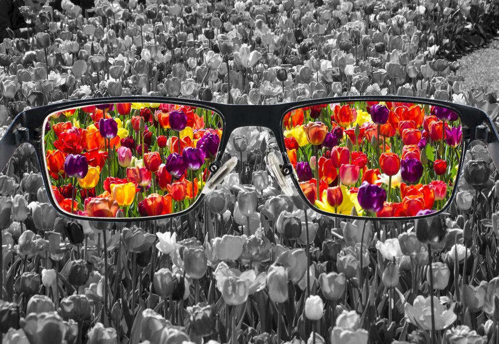 Arte com foto em tons de preto, branco e cinza de uma plantação de tulipas. No centro da imagem há um grande par de óculos com armação preta e nas lentes é possível ver a imagem das mesmas tulipas só que coloridas em tons de roxo, vermelho, amarelo, laranja e verde.